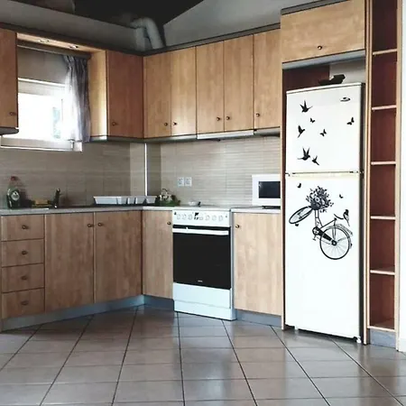 Seafront Spacious, New Built Apartment! Nea Artaki